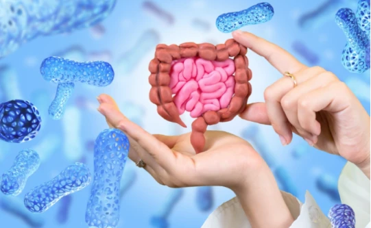 N Acetyl D Glucosamine For Gut Health N Acetyl D Glucosamine For Gut Health
